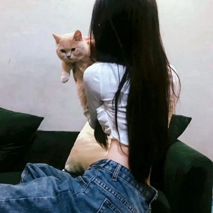 芙蓉仙子